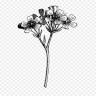 Frk. Aamann Flower Design