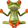 Frog Realty