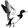 Frost Waterfowl Trust