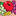 Fruit Of The Loom of Mexico S.A. de C.V.