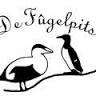 Kringloopwinkel De Fûgelpits
