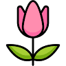 Funky Tulip