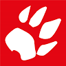 Furet du Nord