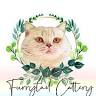 Furrytail Cattery