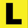 Future driver training