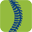 Fysiotherapie Dreef