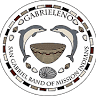 Gabrieleno Tongva Tribal Council