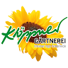 Gärtnerei Klöppner Blumenladen