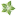 Plattner Blumen