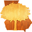 Georgia Hardwoods