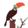 Mindo Dana Tours - Birdwatching Tours