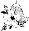 Floristeria Garazi