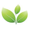 ILandscape Sunshine Coast Nursery & Garden Centre