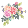 Gardenia Blomster