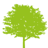Gaza Timber