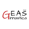 geas gym academy