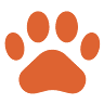 Geelong Veterinary Hospital