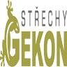 Gerle Jiří - Gekon