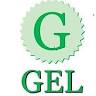 GEL School of Insurance