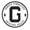 Genesis Gymnastics
