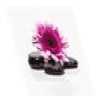 Geniet & Ontspan (Yoga & Massage Purmerend)