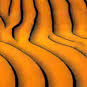 Geocosm