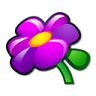 Geranium Gift (Online)