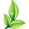 Get A Life Physio, Acupuncture & Nutrition