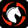 Globe Derby Pony Club