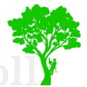 G McColl Tree Services
