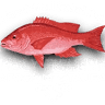 Friendly Fisherman Restaurant