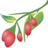 Goji Bio Brasov