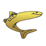 Goldfish OÜ