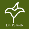 Goldschmiede Lilli Pulkrab - Eheringe | Trauringe | Hochzeitsringe - Gold-/Silberschmuck in Linz