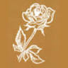 Gasthof Goldene Rose