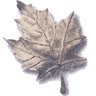 Golden Leaf Electrical Services