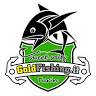 Goldfishing.it