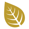 Goldleaf Insurance Brokers | Life, Auto & Commercial Insurance