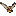 Erlebnis Tauerngold