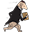 Gopher Express Courier Services Inc