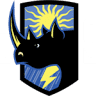 Rhino Shield of New England