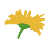 Gezondheidswinkel De Goudtsjeblom