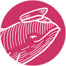 General Porpoise