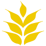 Grain Craft
