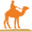 Gran Canaria Camel Safari Tours