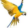 Grand Amazon Tours