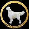 grand cru golden retrievers
