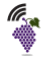 Grapevine Communications