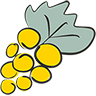 Grappolo d´Oro