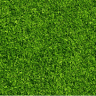 Grass Eaters Lawn Care & Maintenance